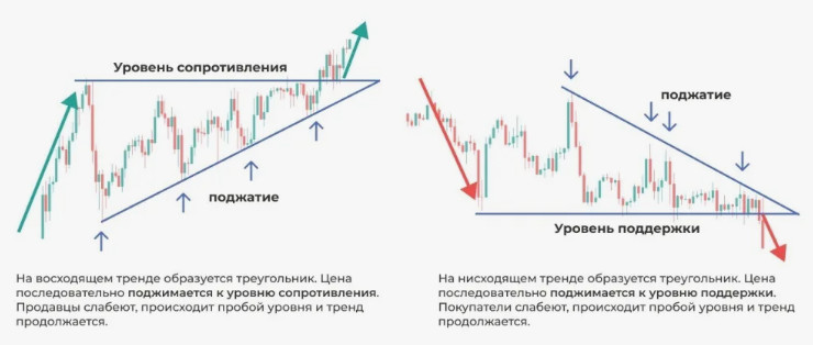 Графики трейдинга: основы анализа для начинающих